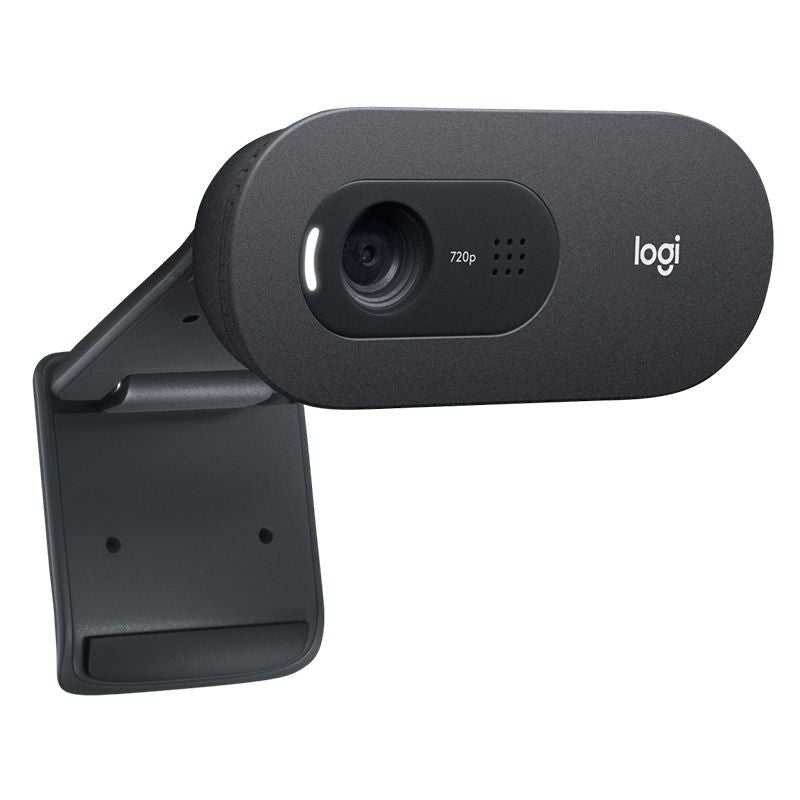 Camera Web HD Logitech C 505 cu USB