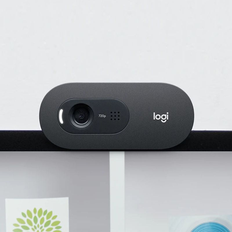 Camera Web HD Logitech C 505 cu USB