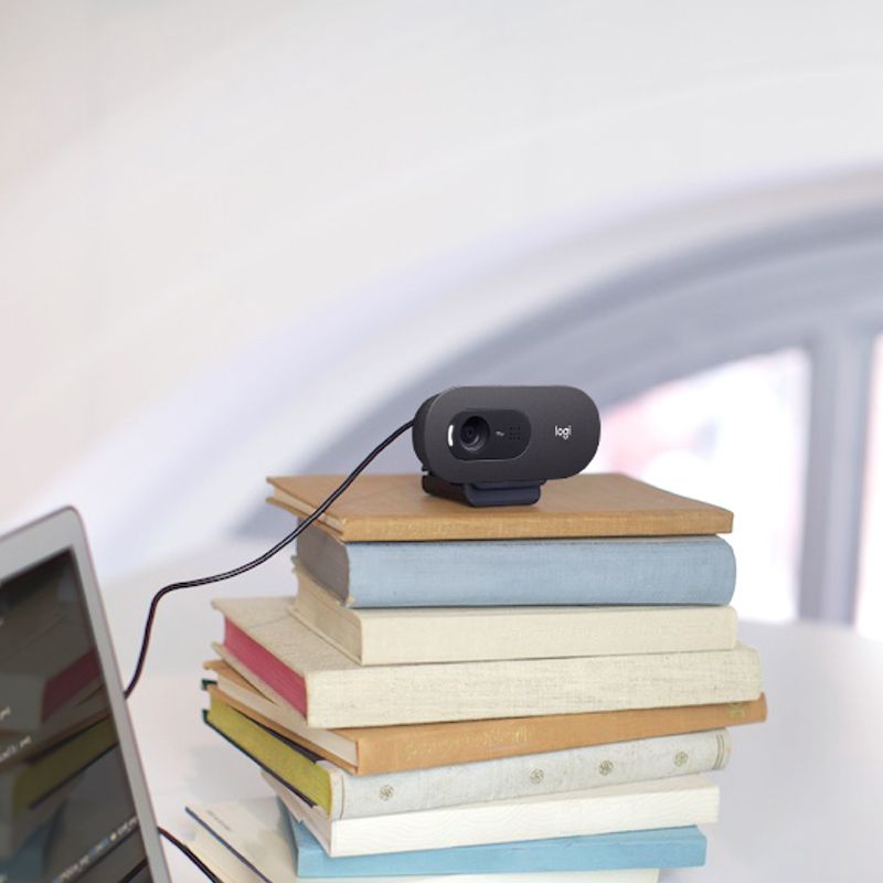 Camera Web HD Logitech C 505 cu USB