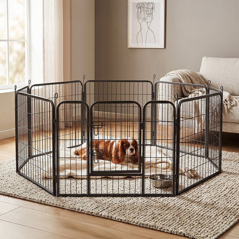 Tarc Modular pentru Caini 8 Panouri 80x60 Rebel
