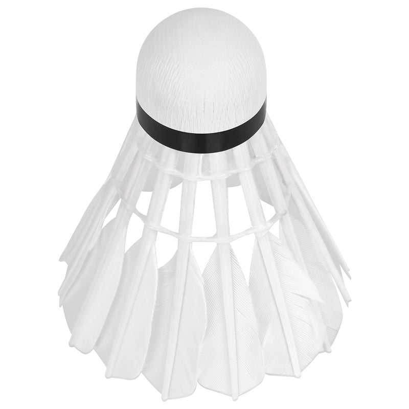 Set 6 Mingi Badminton Active Rebel