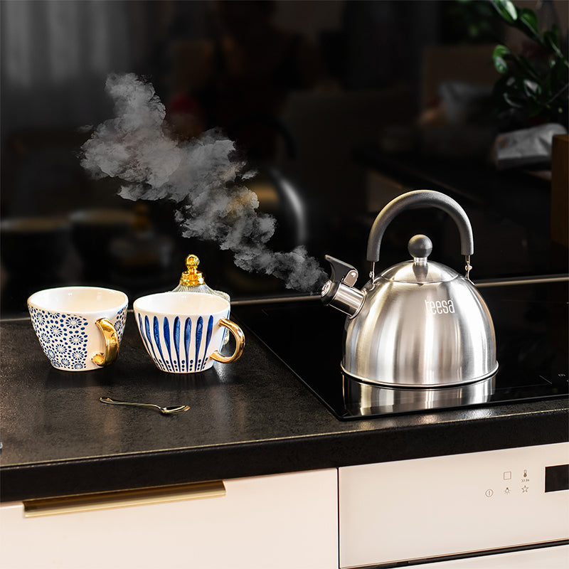 Ceainic cu Fluier Otel 1.8l Teesa Tsa 0153 cu DAB+