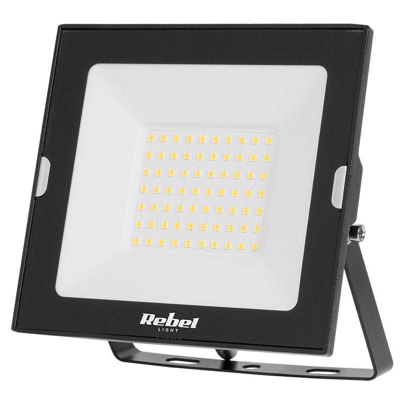 Reflector 6500k Rebel LED 50W