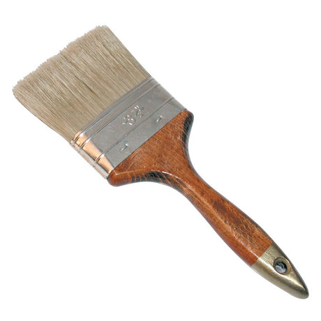 Pensula Par Natural cu Maner Lacuit 3.0