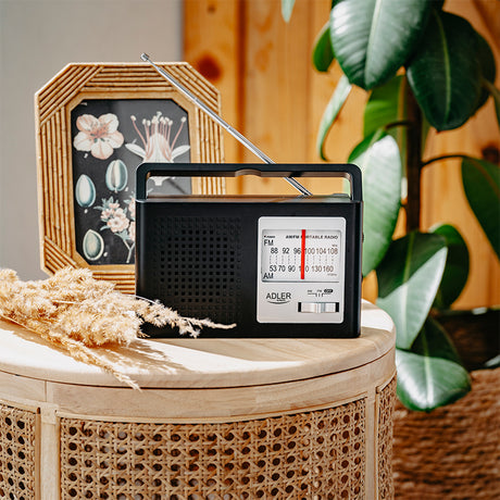 Radio Adler AD 1909 cu radio FM