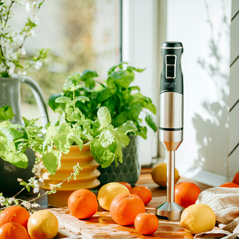 Blender Mana 1900W Ad 4628 Adler