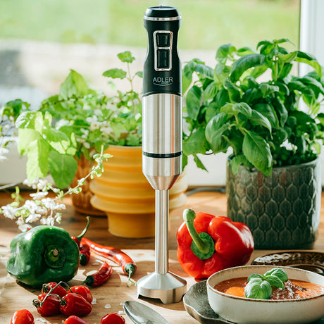 Blender 4628 Adler Mana 1900W cu DAB+
