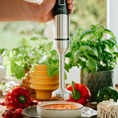 Blender 4628 Adler Mana 1900W cu DAB+
