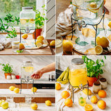 Borcan Limonada Adler AD6741