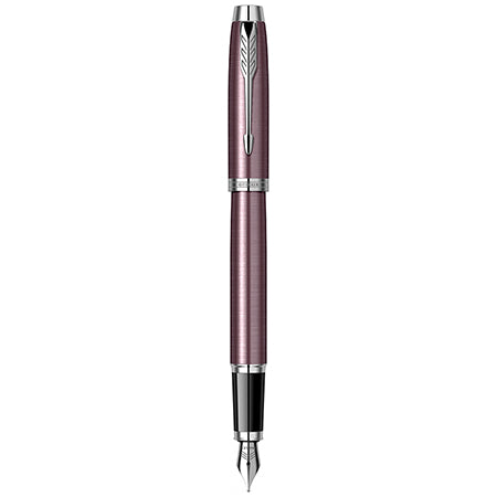 Stilou cu Cutie Purple Parker cu DAB+