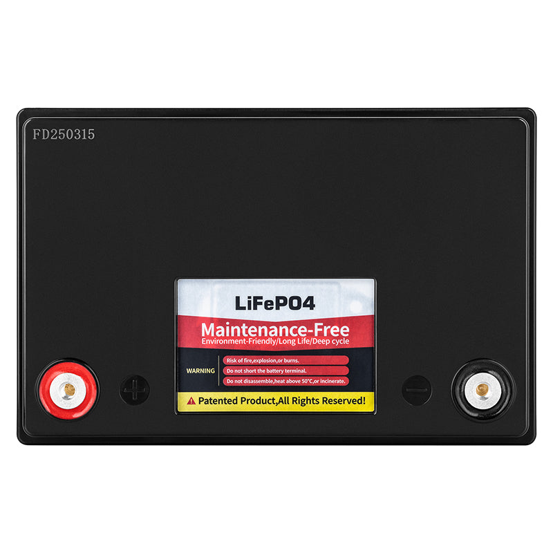 Acumulator Lifepo4 100ah Bms Vipow Bat 0496 cu baterie reincarcabila