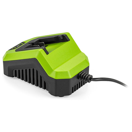 Charger Rapid Acumulatori Fieldmann cu baterie reincarcabila