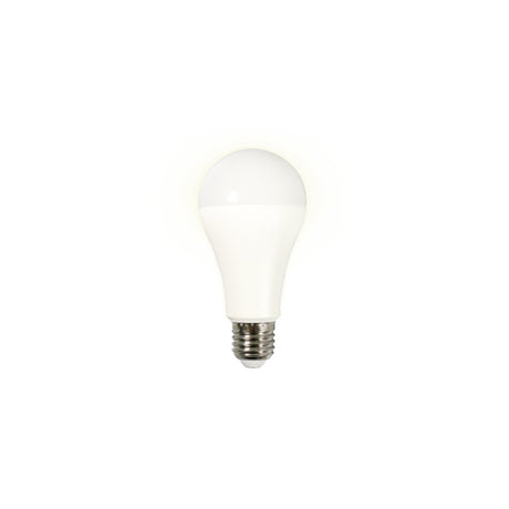 Bec LED A65 RGB Cct Smart Wi-fi E 27 cu Internet WiFi