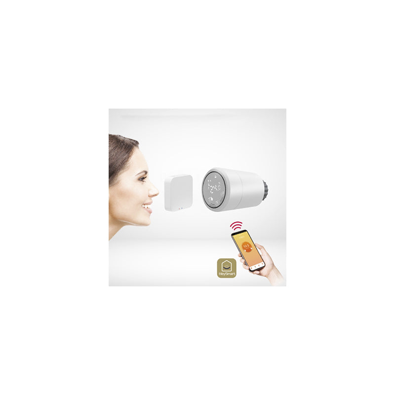 Cap Termostat Smart Gateway Isnatch