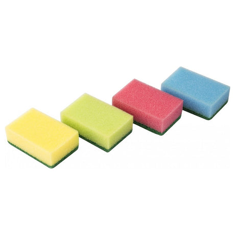 Set Bureti Bucatarie Rainbow 10buc Vileda Kom 42807