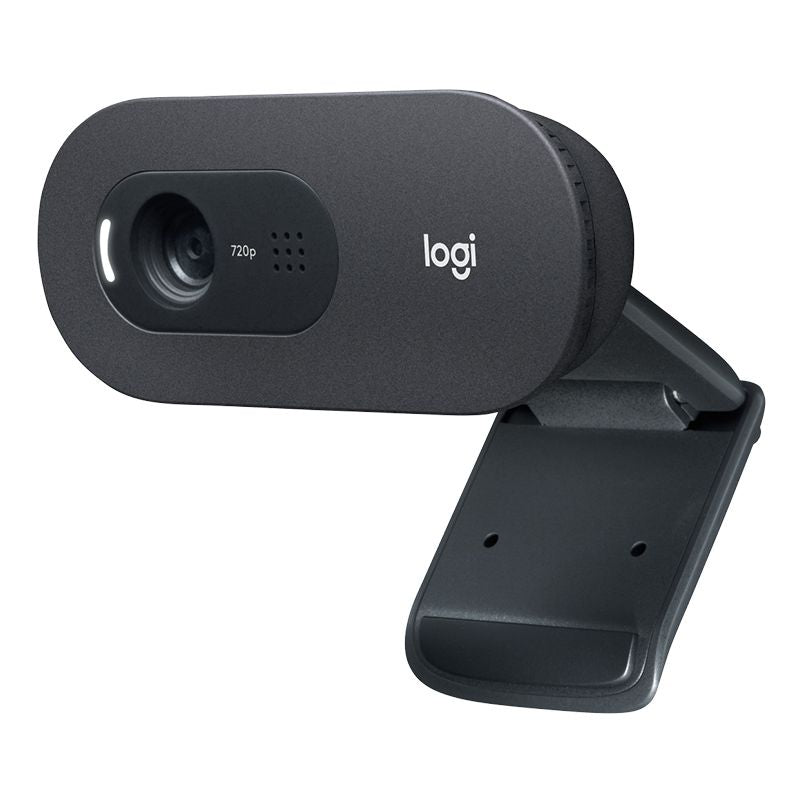 Camera Web HD Logitech C 505 cu USB