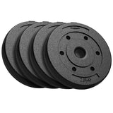 Disc Greutate Compozit Set 4 x 2.5 Rebel