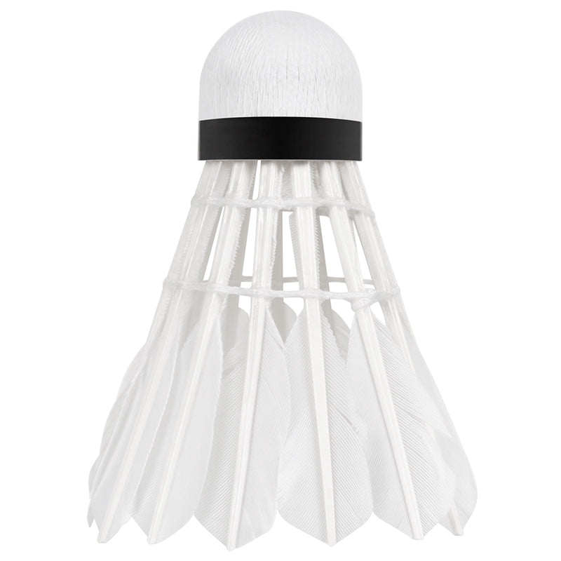 Set 6 Mingi Badminton Active Rebel