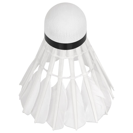 Set 6 Mingi Badminton Rebel Active