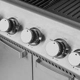 Grill Gaz 5 Arzatoare Master Grill Teesa Bbq 5005 cu DAB+