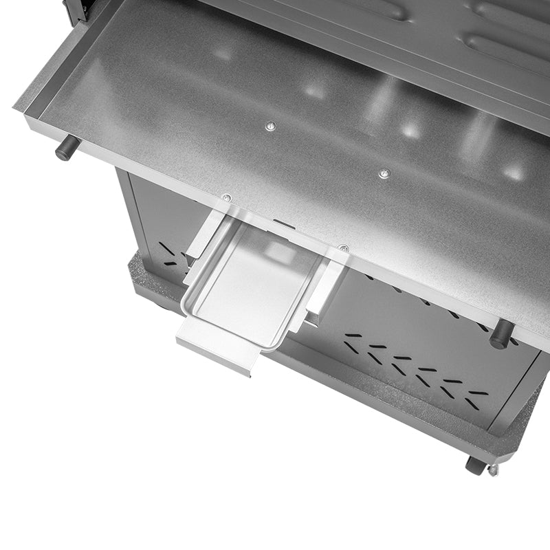 Grill Gaz 5 Arzatoare Master Grill Teesa Bbq 5005 cu DAB+