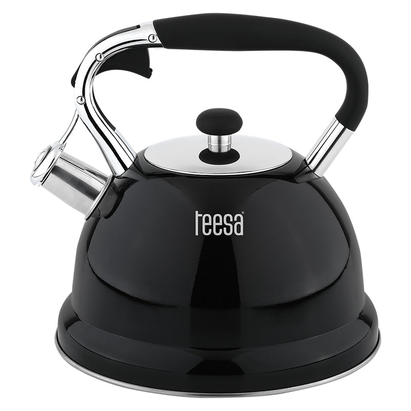 Ceainic cu Fluier Otel 3l Teesa Tsa 0152 cu DAB+