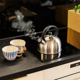 Ceainic cu Fluier Otel 2l Teesa Tsa 0154 cu DAB+