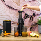 Slow Juicer Teesa Tsa 3233 cu DAB+