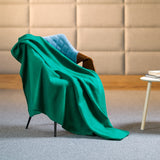 Patura Fleece Polar 130x150cm Verde Teesa Tsa 8900-2