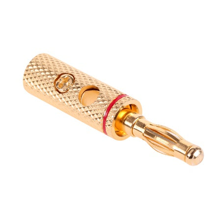 Mufa Banana Tata Gold Wty 0203