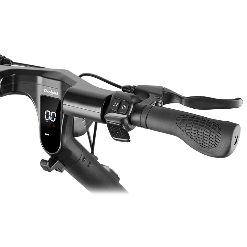 Trotineta Electrica Fast Wheels Rebel Max 350W cu baterie reincarcabila