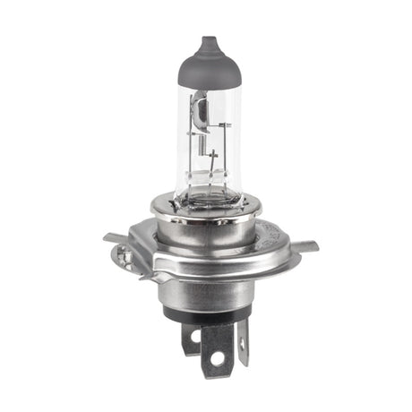 Bec Auto H4 12V 60 55W