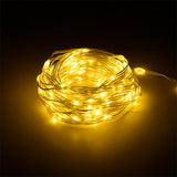 Decoratiune LED Alb Rebel Cald 10m cu USB